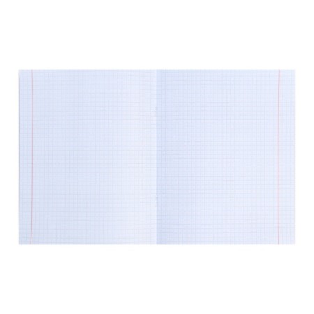 Notebook 48 sheets in the Error cage "Foreign Language", cover covered paper, OFSET block-2