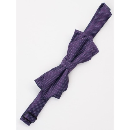 ISEE BOOK tie for boys, purple color, blue