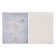 Subject note Calligrata "3D", 48 sheets in the geometry cage, with reference material, covered cardboard, unit No. 2, whitewash 75% (gray sheets)