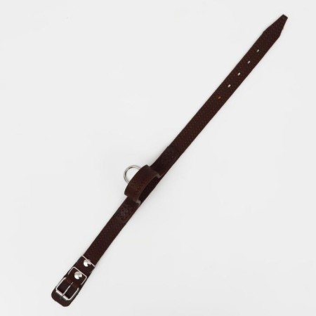 Triple leather collar, with a pen, 57 x 2.5 cm, Osh 35-45 cm, brown-2