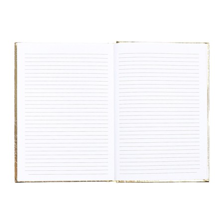 Dated diary 2025, A5 168 sheets, Attomex. Arkona, solid cover, boumvinyl with foam, liesse, block 70, gold-11