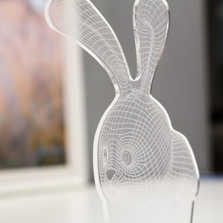 Lumber "Rabbit" Led RGB from the network 9.5x14x19 cm Risalux-5