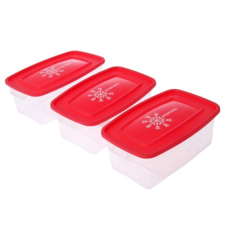 A set of rectangular containers for freezing Morozko products, 1 l, 3 pcs, color mix-7