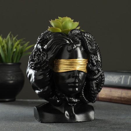 Kashpo - organizer "Gorgon Medusa" Black with gold, 13x16x11cm-1