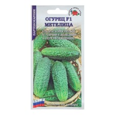 Cucumber seeds 