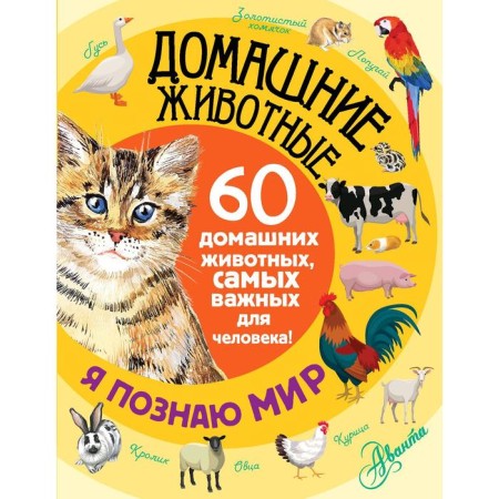 "Pets"