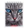 Notepad A7 40 sheets in a cage on the crest "Cats", Cardboard Cover, VD-LK, MIX