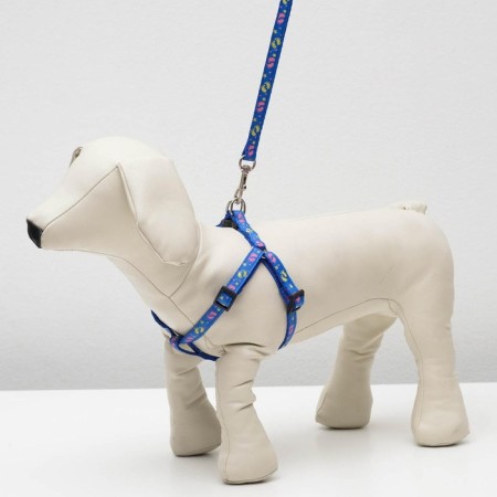 Set "Color Transes", leash 120 x 1 cm, fire 23-35 cm, blue-14
