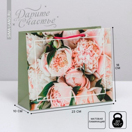 Gift Laminated horizontal package, packaging, Present, MS 18 x 23 x 10 cm