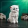 Piggy bank "Small kitten" White, 16x12cm