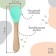 A spoon for nursery for feeding crumb I (silicone, bamboo), turquoise color