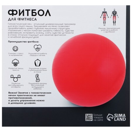 Fitball Onlytop, D = 55 cm, 600 g, Mix color-22