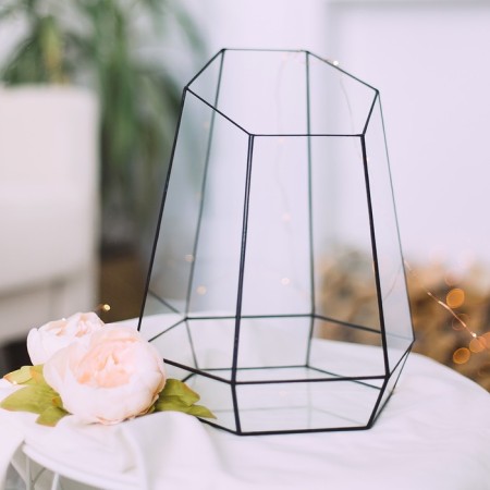 Florarium "Orchidarium" (Switch silver)-4