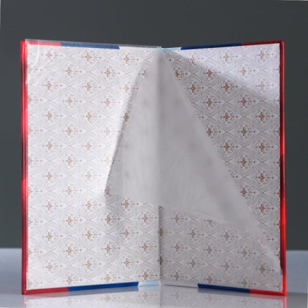 Folder for the birth certificate "Tricolor" coat of arms, A4, file size 24 x 18.5 cm-1