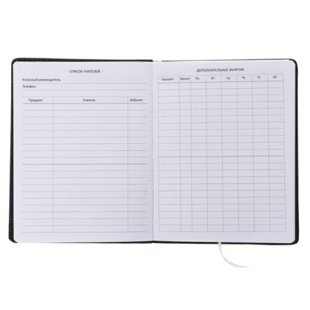 Universal Diary of 1-11 class No Fear, hard cover with foam rubber, artificial leather, lies, block 80 g/m2-3