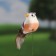 Plot for indoor plants "Bird" 3x5cm, 9cm / Packing 12pcs, price per pcs