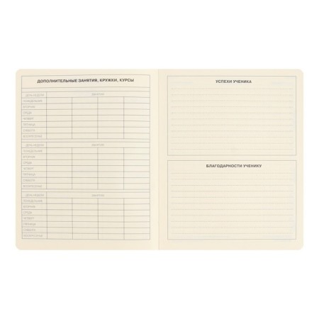 School diary for grades 1-11 Schoolmix. Koala, hard cover, artificial leather, with foam, liesse, 48 sheets, tinted block 70g/m2-5
