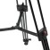 Greenbean Videomaster 309MS DISPECTION