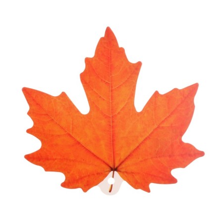 Poster "Mine Leaf" Orange, 10 x 11 cm