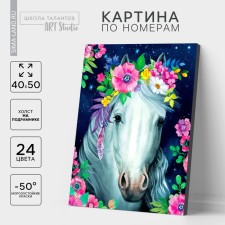 Picture on numbers on a canvas with a subframe 