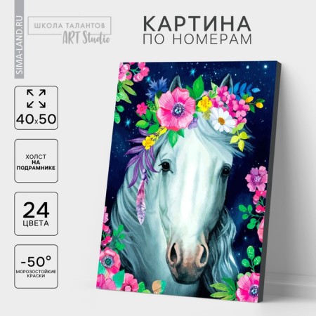Picture on numbers on a canvas with a subframe "Horse", 40 x 50 cm