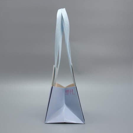 Carries for flowers "Kisa", 14 × 10 × 9 cm-3