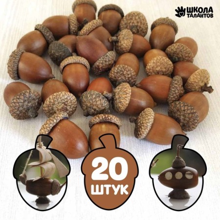 Decor for the creativity of "Acorn" set 20pcs, 3x2cm