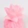 Night Plastic "Pineapple" MIX LEDH1 8x8x13 cm Risalux