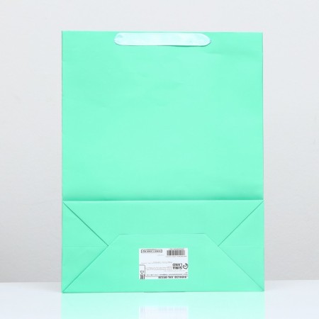 Laminated “turquoise” package, 31 x 40 x 14 cm-1
