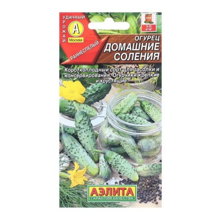 Seeds cucumber homemade salting bee c/n 20pcs