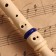 Music Life Blockflate, 8 holes, blue cover, ramrod, 30 cm