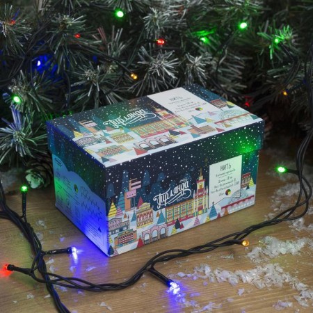 Garland "thread" 10 m, IP44, dark thread, 100 LED, glow of multi, 8 modes, 220 V-2