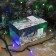 Garland "thread" 10 m, IP44, dark thread, 100 LED, glow of multi, 8 modes, 220 V