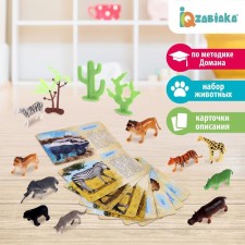 A set of animals with training cards 
