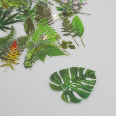 Stickers for creativity PLC PVC "Green Leaves" set 60 pcs 10x14 cm-2