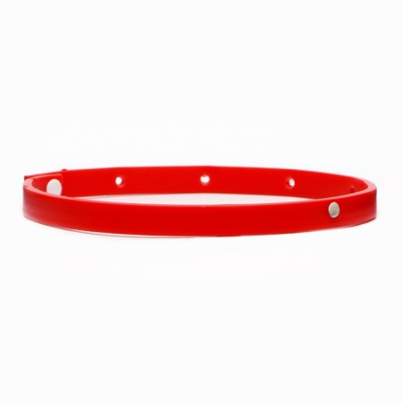 Bio -hazelnik from parasites "Piggon Premium" for cats and dogs, red, 35 cm-3
