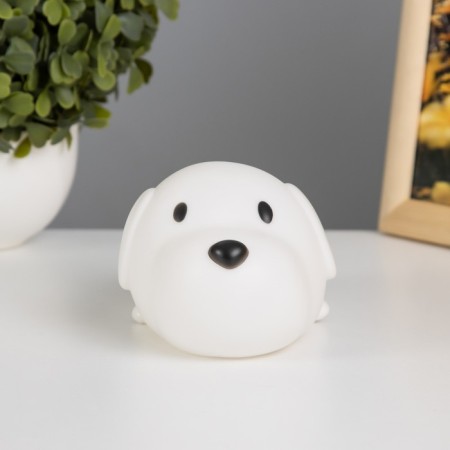 Night "Little Dog" LED from 3XLR44 batteries is white 14.5x8 cm Risalux-4