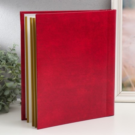 Photo album "Monophone" 23x28 cm, 30 sheets mix-2