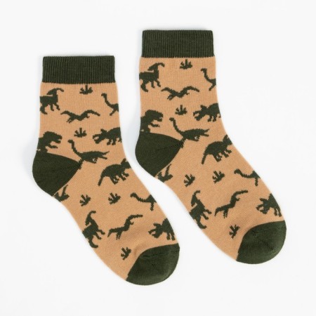 Children's socks "dinosaurs", beige color, size 20-22-1