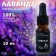 Lavender essential oil 10 ml with a pipette