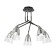 Ceiling EVOLUCE lamp. Sle102902-05. Lirino. 5x40 watts, E27, 54x54x44 cm, black color, chrome