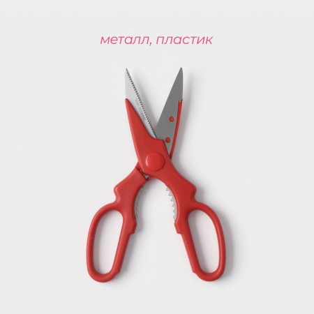 Scissors kitchen shares "Vega", 20 cm, color mix-1