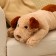 Soft toy "dog", 50 cm, brown color