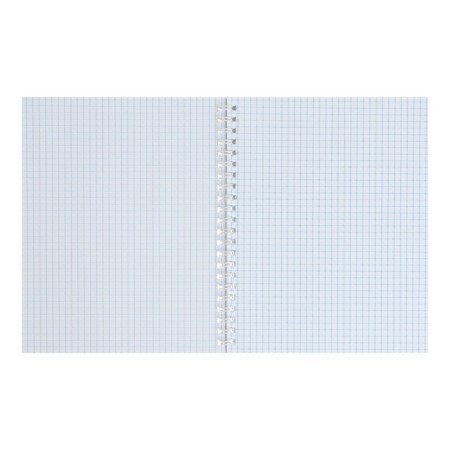 A notebook of 80 sheets in a cage on the crest "Kittens", a cover coated cardboard, glossy lamination, mix-1