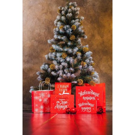 Box - book "New Year's gift", 20 x 12.5 x 5 cm, New Year-6