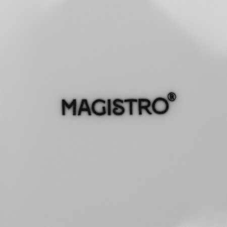 A set of plates of porcelain dining Magistro Basic Bistro, 6 objects: D = 22 cm, white color-5