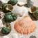 Set of shells, mix No. 2, 100 g