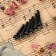 A set of shine fixers Music Life, 6 pieces, black