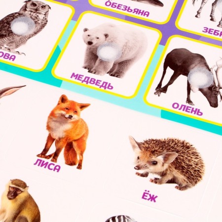 Developing Velcro game "Animal Zoo", according to the methodology of G. Doman-3