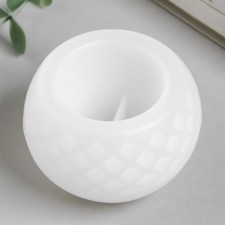 Mold Silicon 